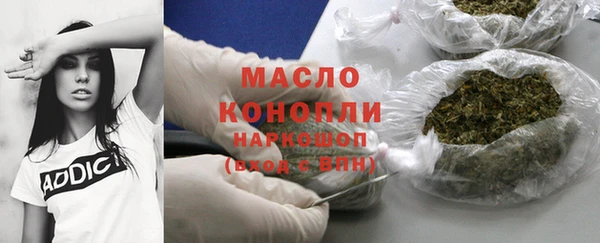 индика Нягань