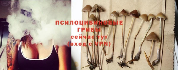 стаф Апатиты
