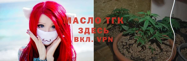 индика Нягань