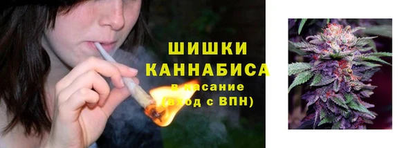 индика Нягань