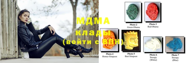 индика Нягань