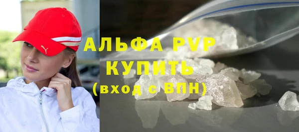 индика Нягань