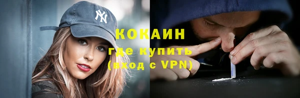 индика Нягань
