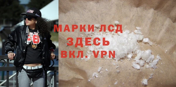 индика Нягань