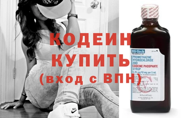 индика Нягань