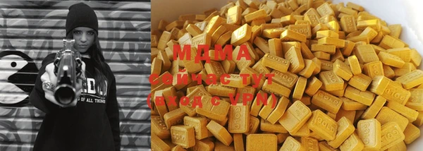 индика Нягань