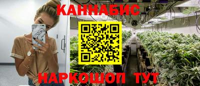 трава Бийск