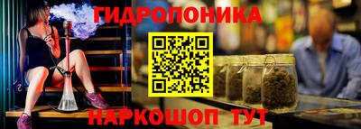 трава Бийск