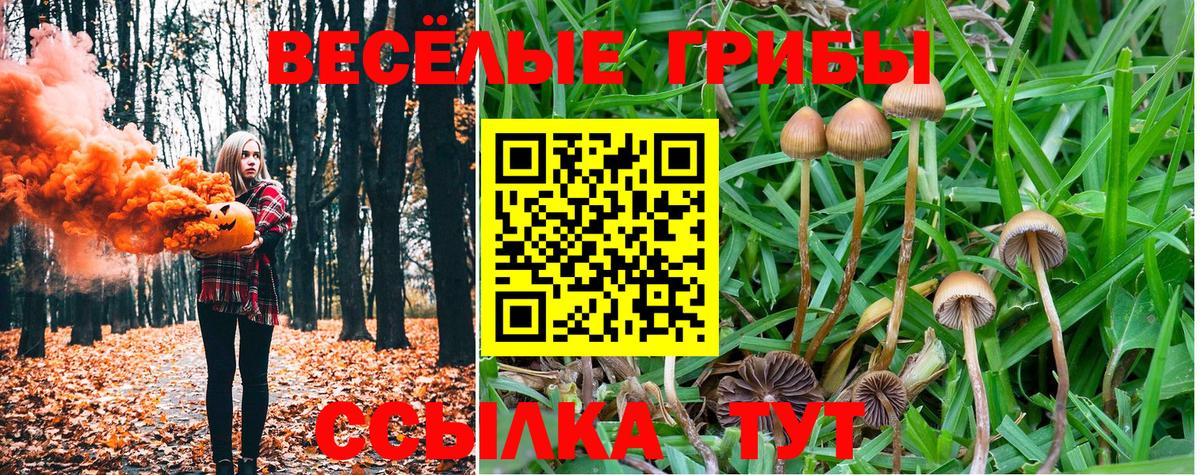 Псилоцибиновые грибы Psilocybe  Вход с VPN  Рубцовск 