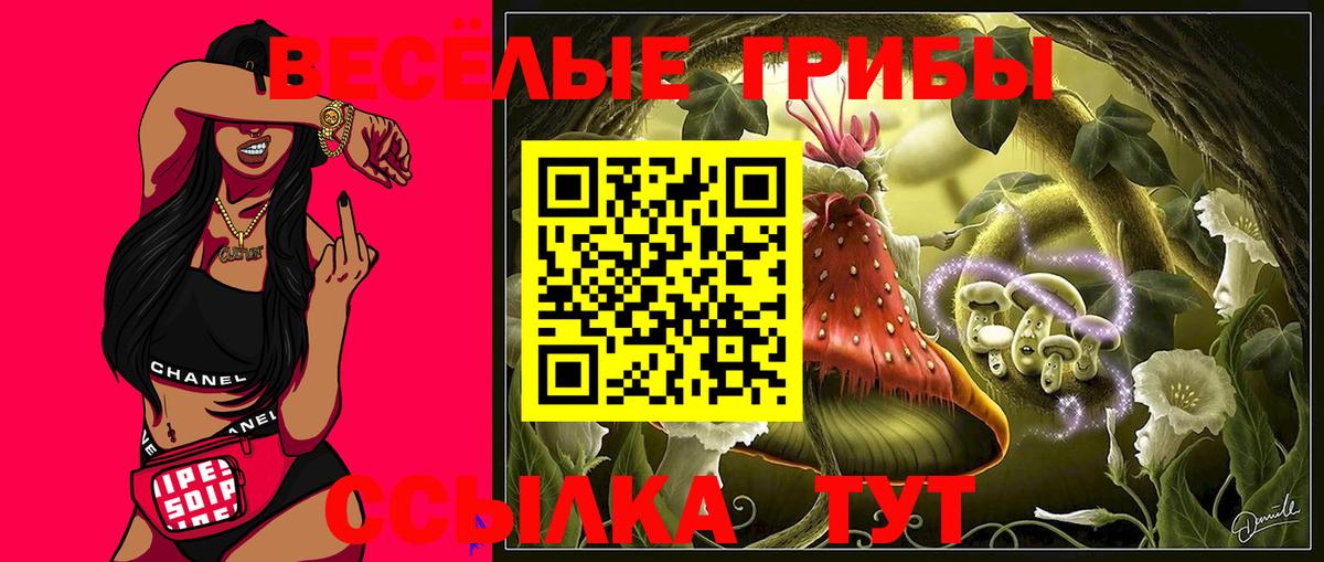 Галлюциногенные грибы MAGIC MUSHROOMS  где купить наркотик  Рубцовск  Псилоцибиновые грибы мухоморы 