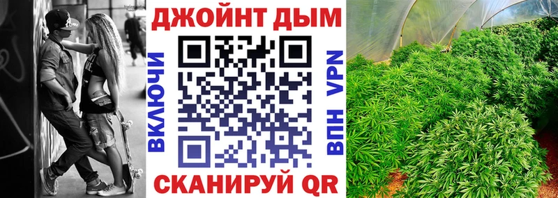 Каннабис план  Рубцовск 